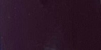 Maxx #079