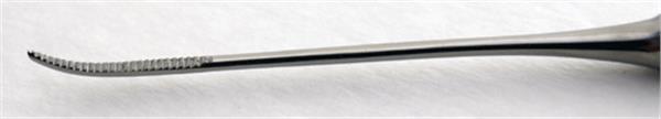 Body Toolz Easy Reach Ingrown Toenail File 10" (BT2091) - Gina Beauté